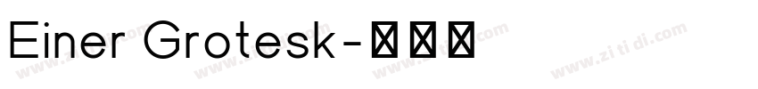 Einer Grotesk字体转换 Einer Grotesk字体转换